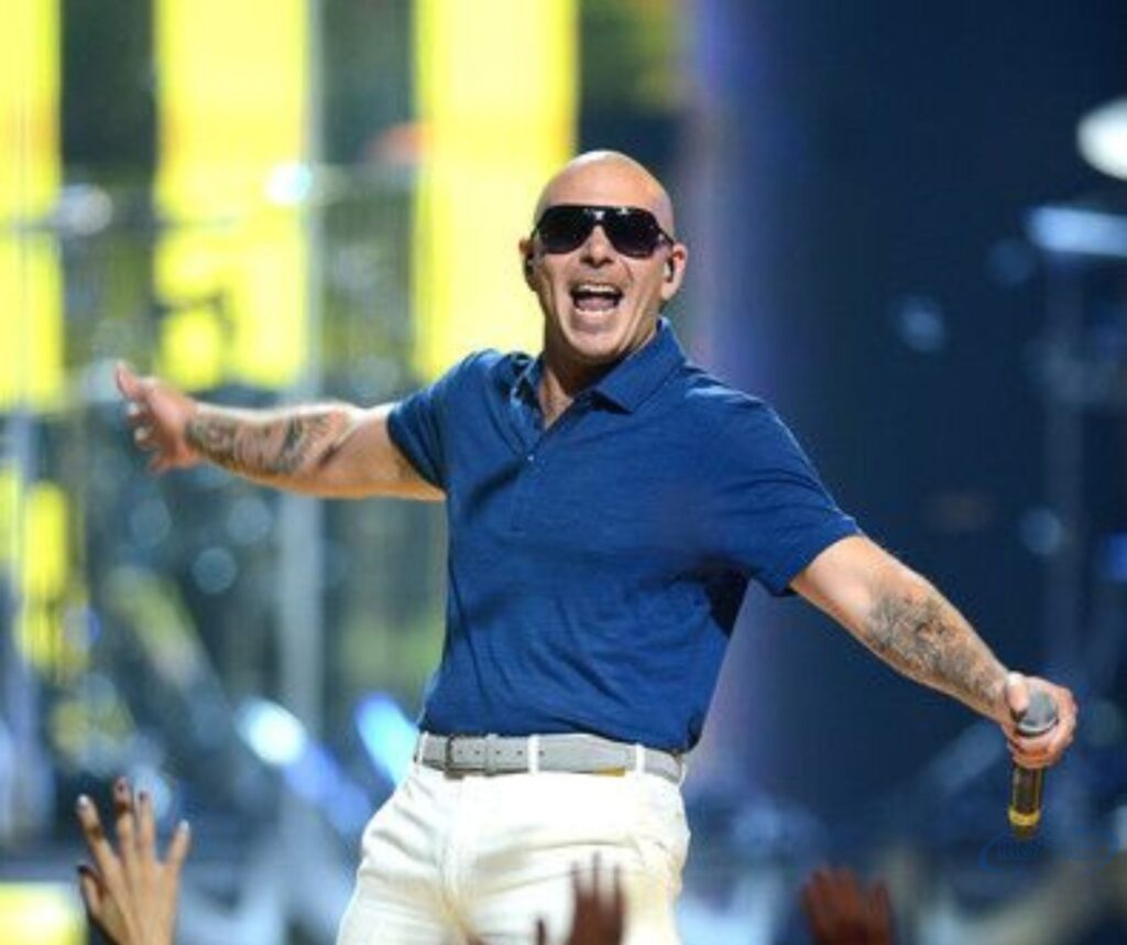 pitbull 