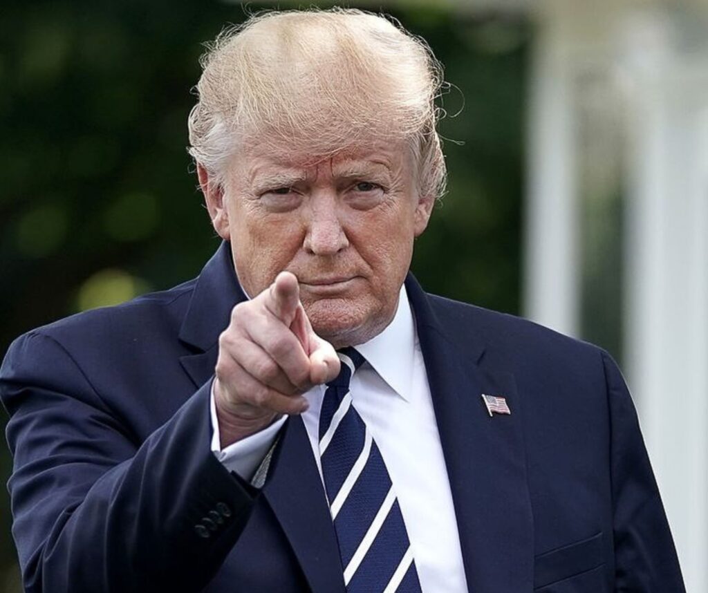 how-donald-trump