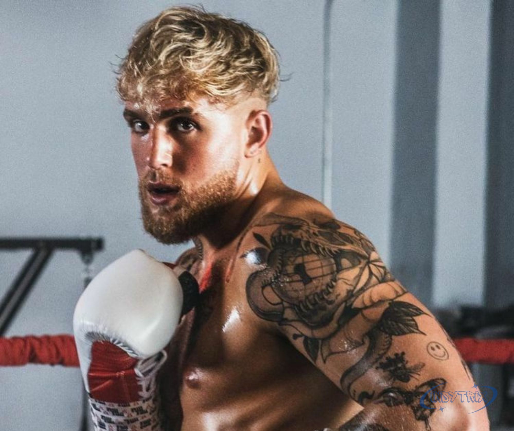 jake-paul-net-worth-2026